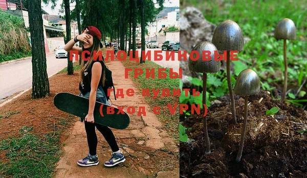 круглые Армянск
